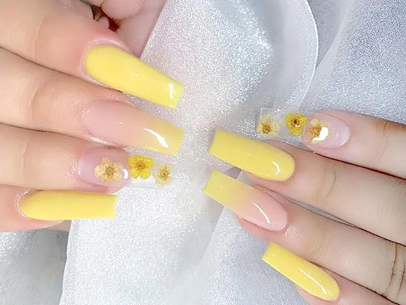 Buttercup ombré with pressed florals